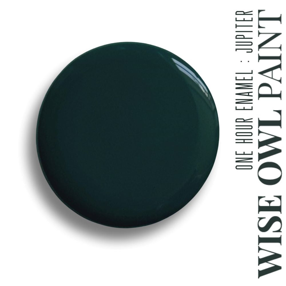 Wise Owl paint- One Hour Enamel QUART 32 oz