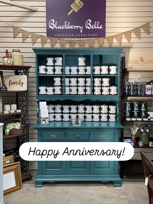 Tips for painting with Wise Owl One Hour Enamel