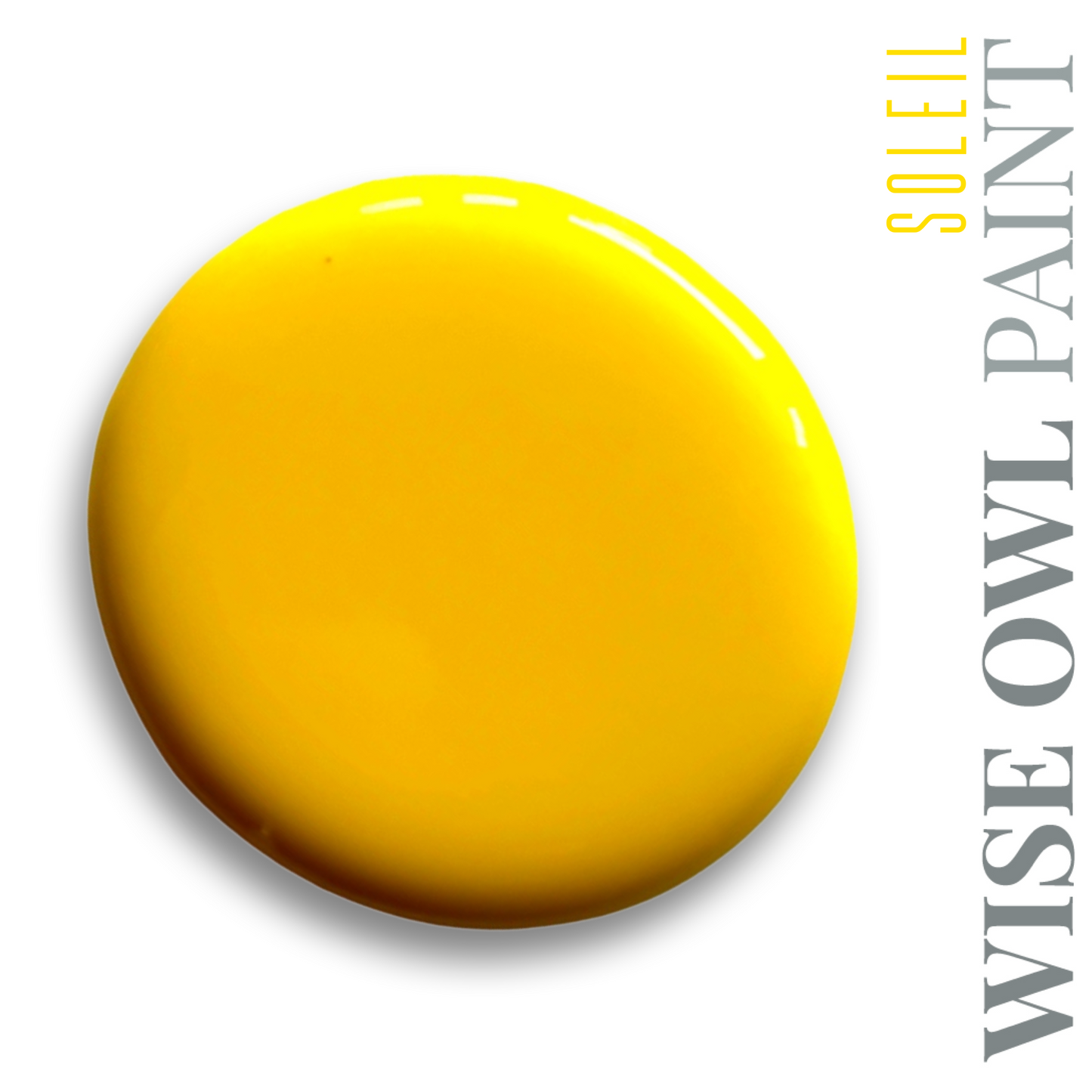 Wise Owl Chalk Synthesis Paint-PINT 16 oz