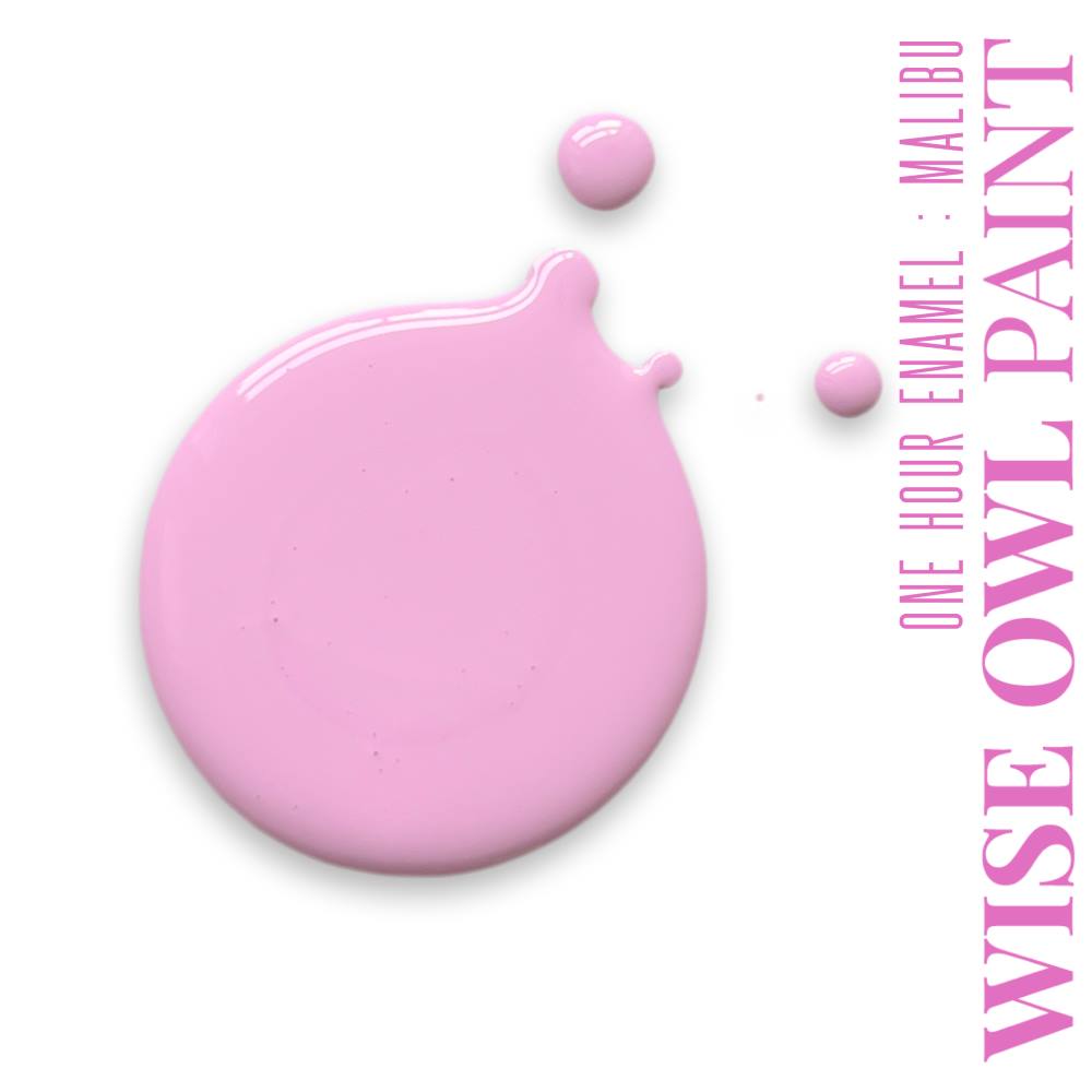 Wise Owl paint- One Hour Enamel QUART 32 oz